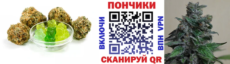 где найти наркотики  Знаменск  MEGA ссылка  Cannafood марихуана 