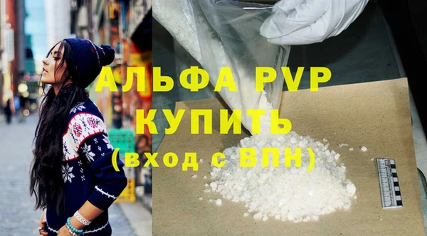 спайс Вяземский