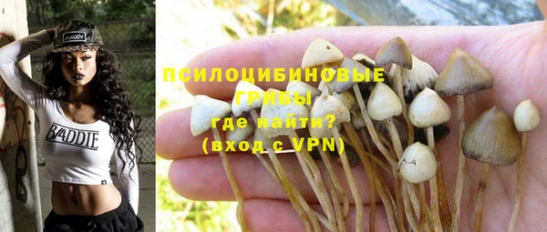 прущая мука Вязники